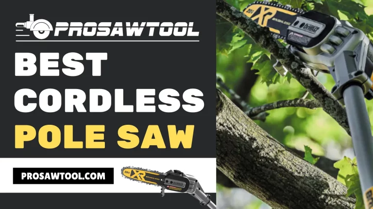 10 Best Cordless Pole Saw Review 2022