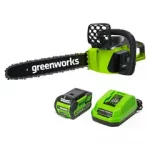 Greenworks 20312 Cordless Chainsaw