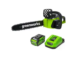 Greenworks 20312