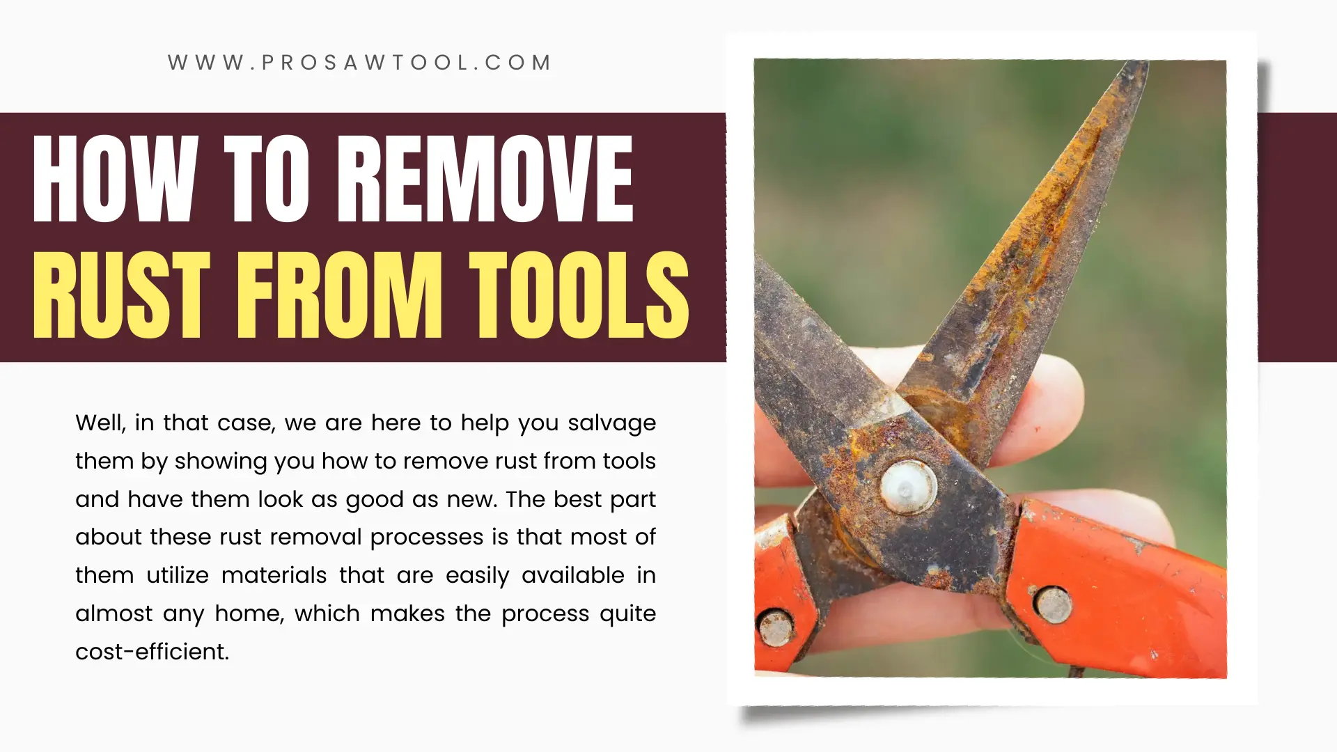 How To Remove Rust From Tools