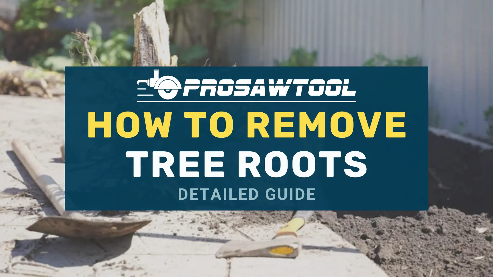 How To Remove Tree Roots