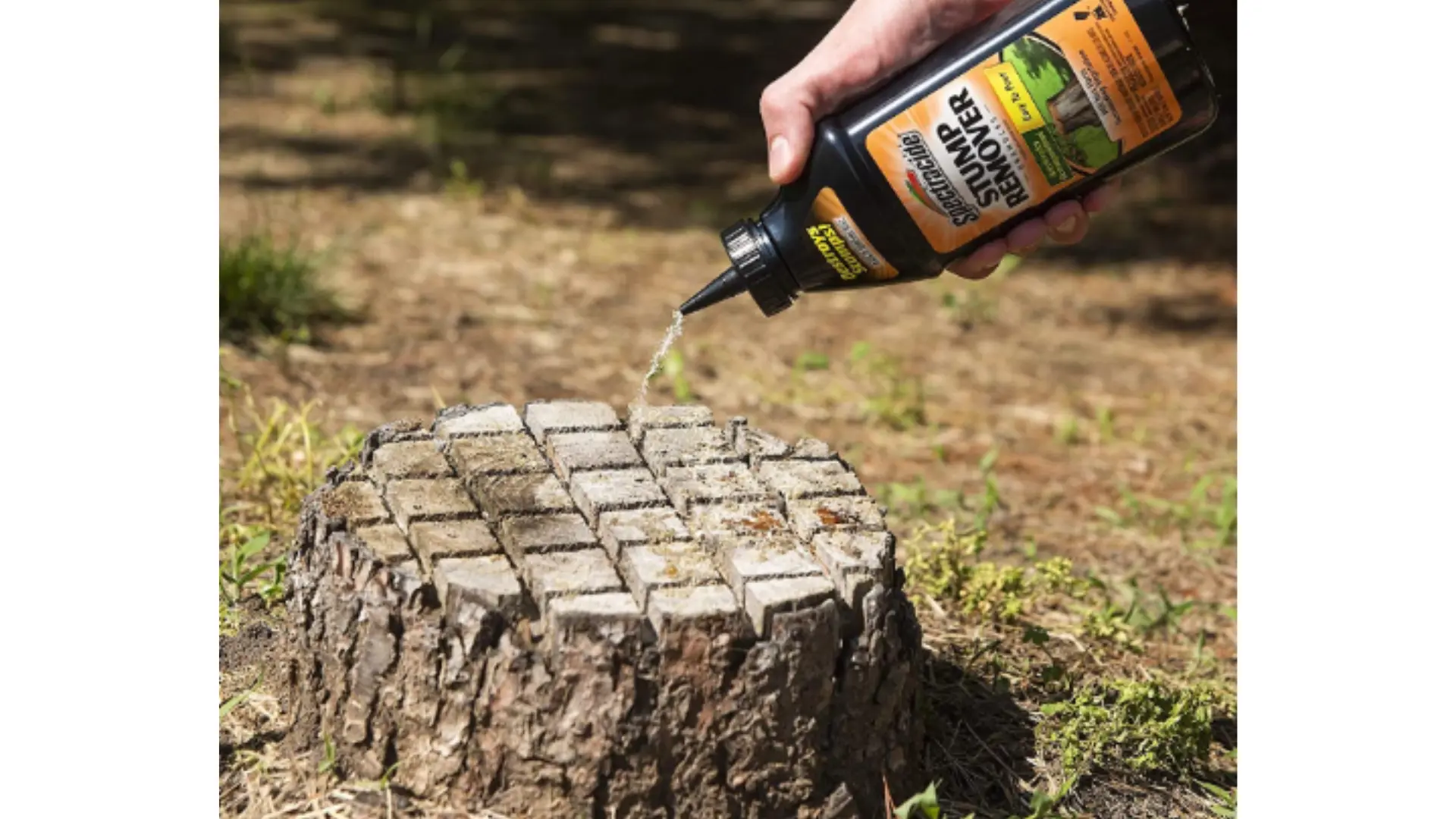 Killing The Tree Roots Via Chemical Use