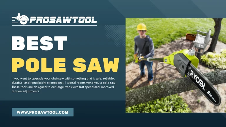 10 Best Pole Saw in 2023 – Reliable, Safe & Powerful!