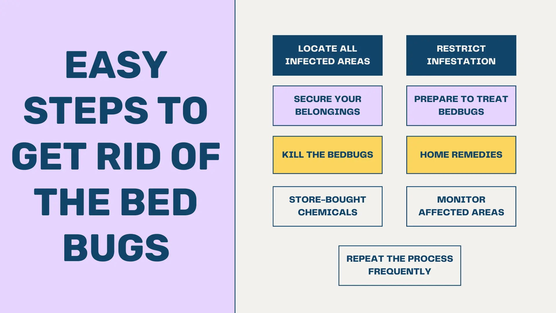 Easy Steps to Get Rid of the Bed Bugs